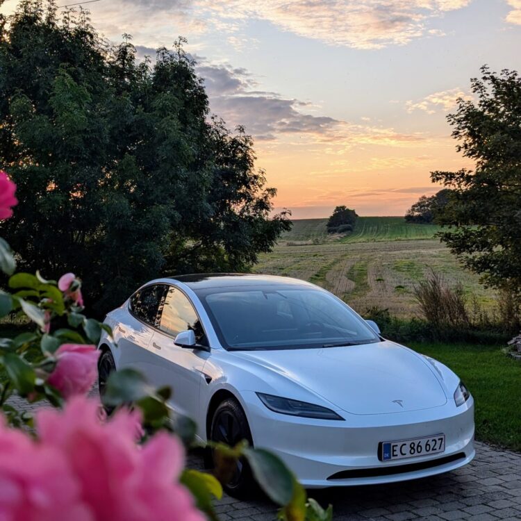 En hvid bil står parkeret omgivet af blomster og træer i en landlig have ved solnedgang.